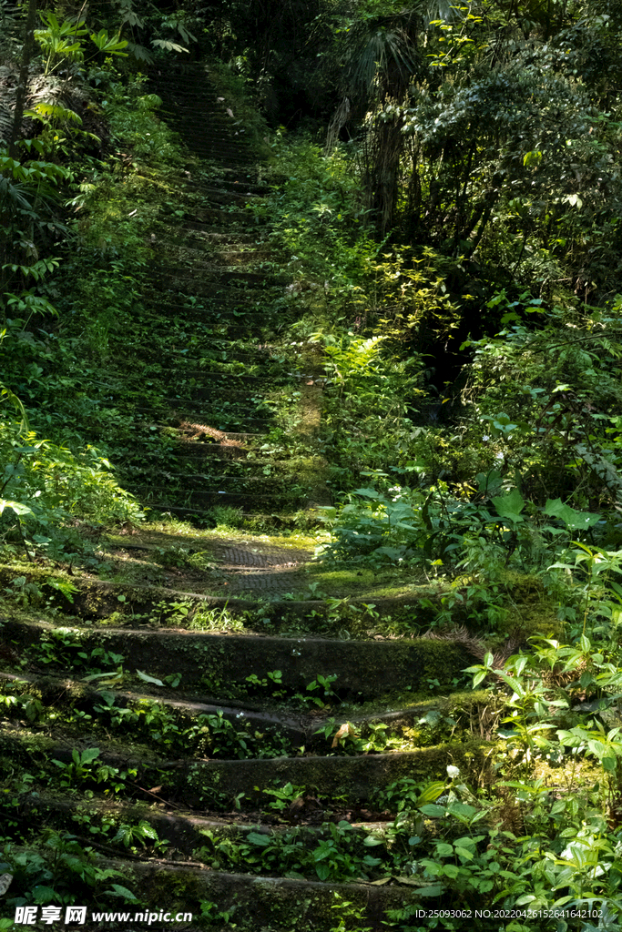 上山小路