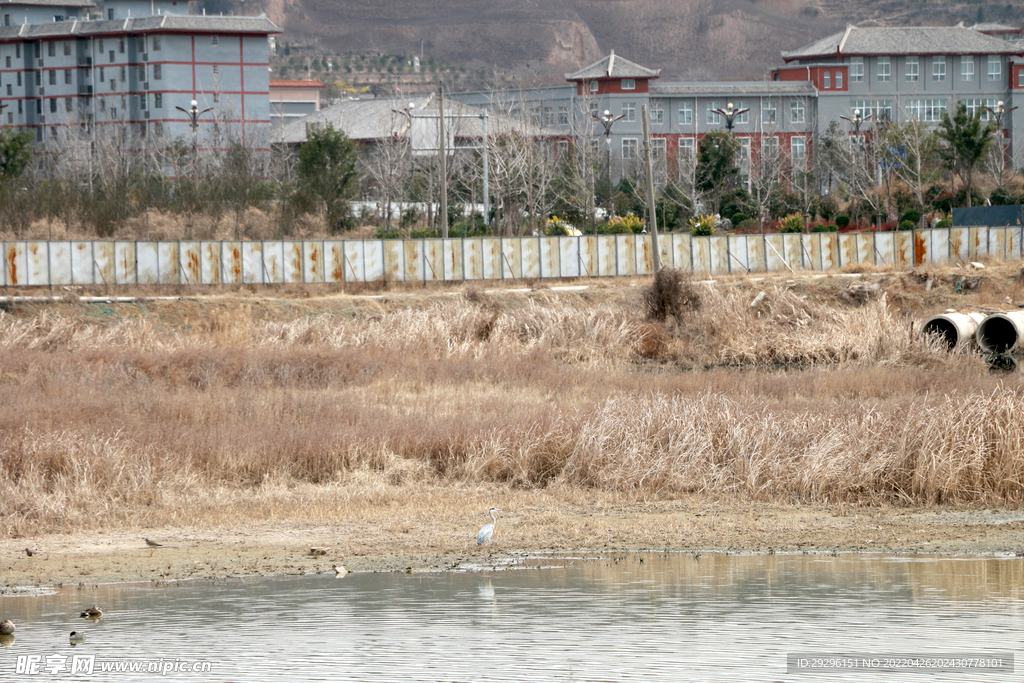 荒野荒地 