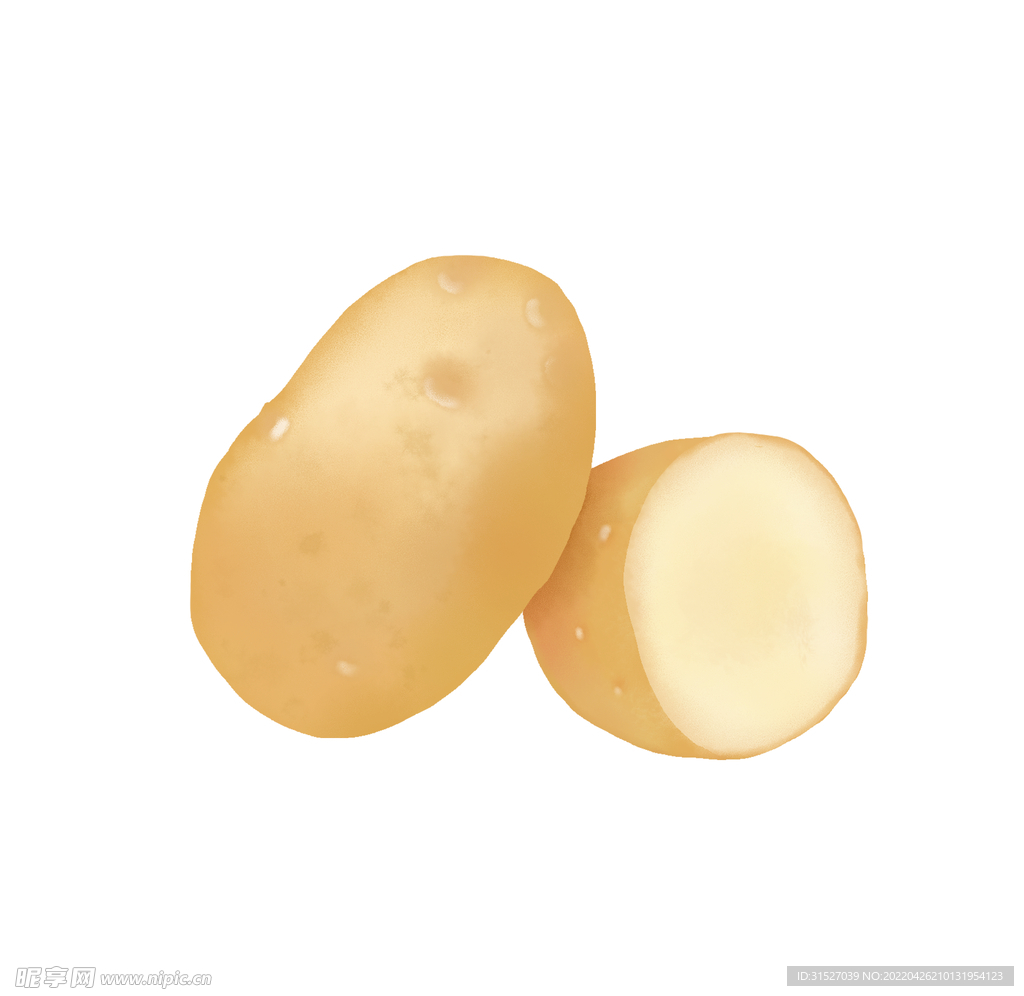 马铃薯土豆食材插画