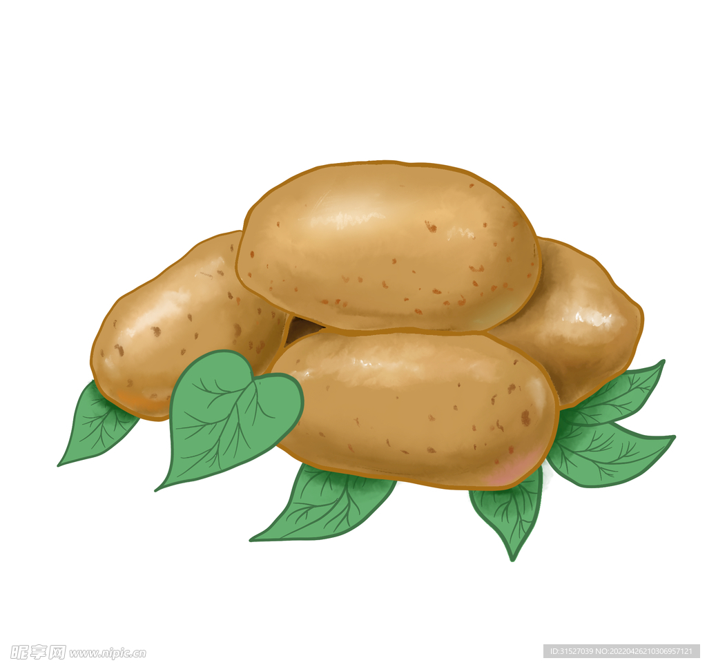 土豆插画