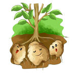 卡通土地里的土豆