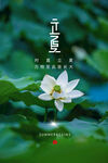 立夏