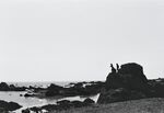 大海