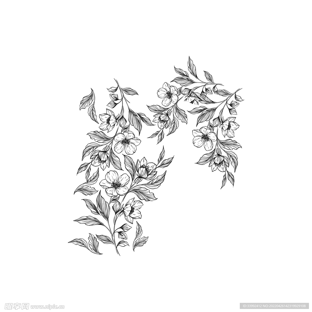 素描手绘矢量花纹