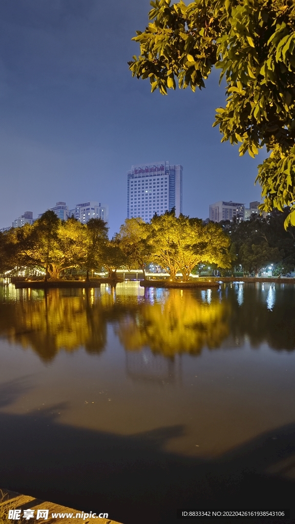 夜景