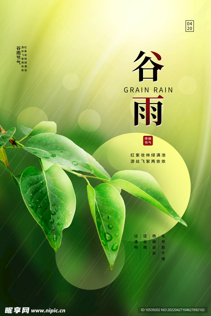 谷雨