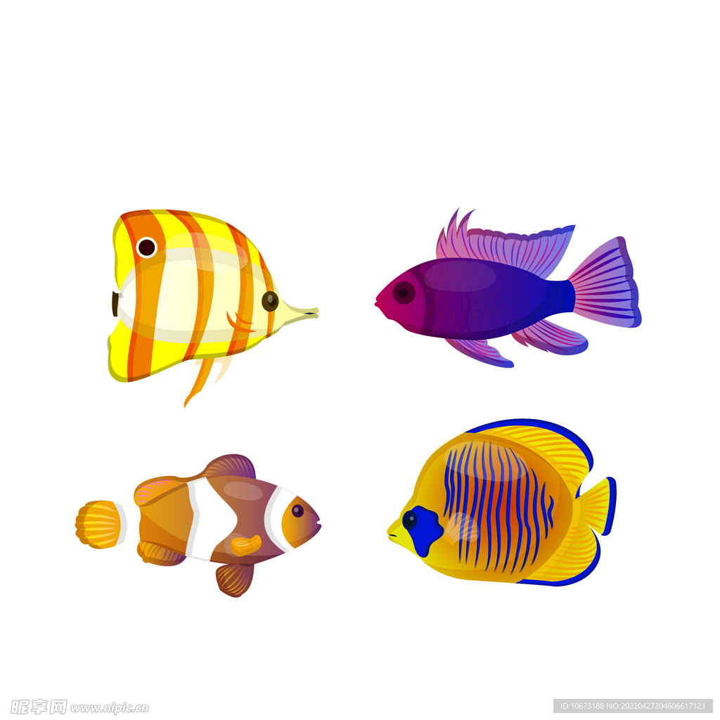 海洋生物