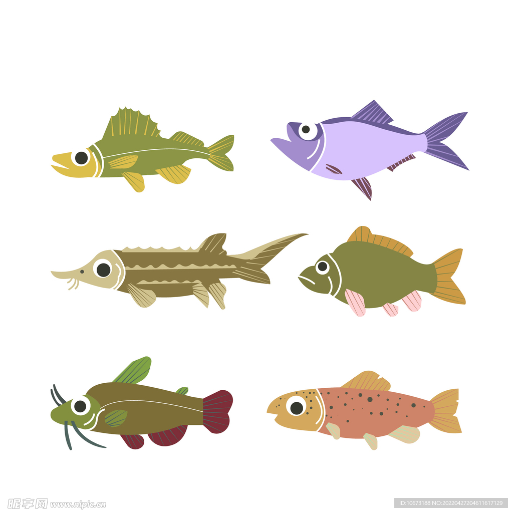 海洋生物