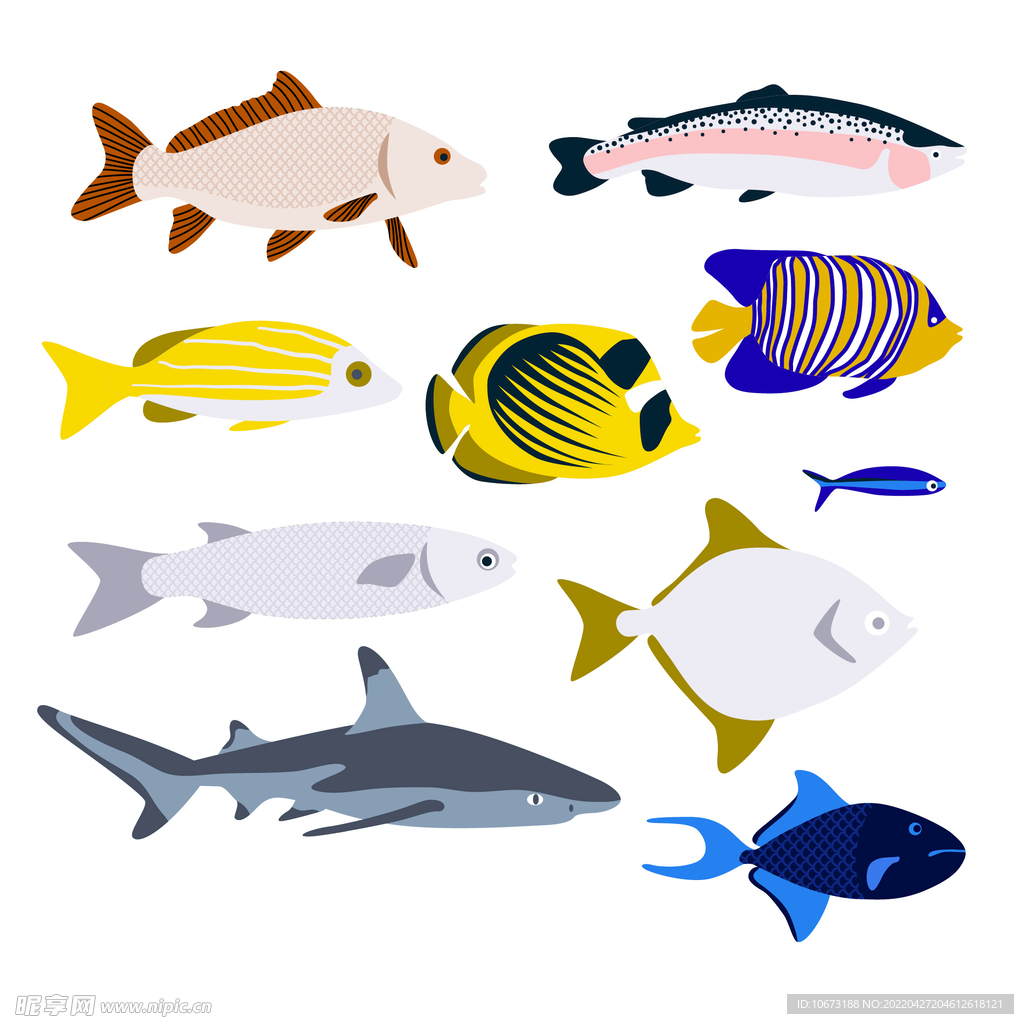 海洋生物
