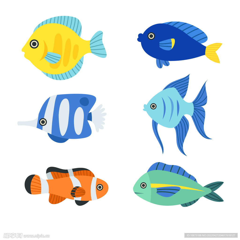 海洋生物