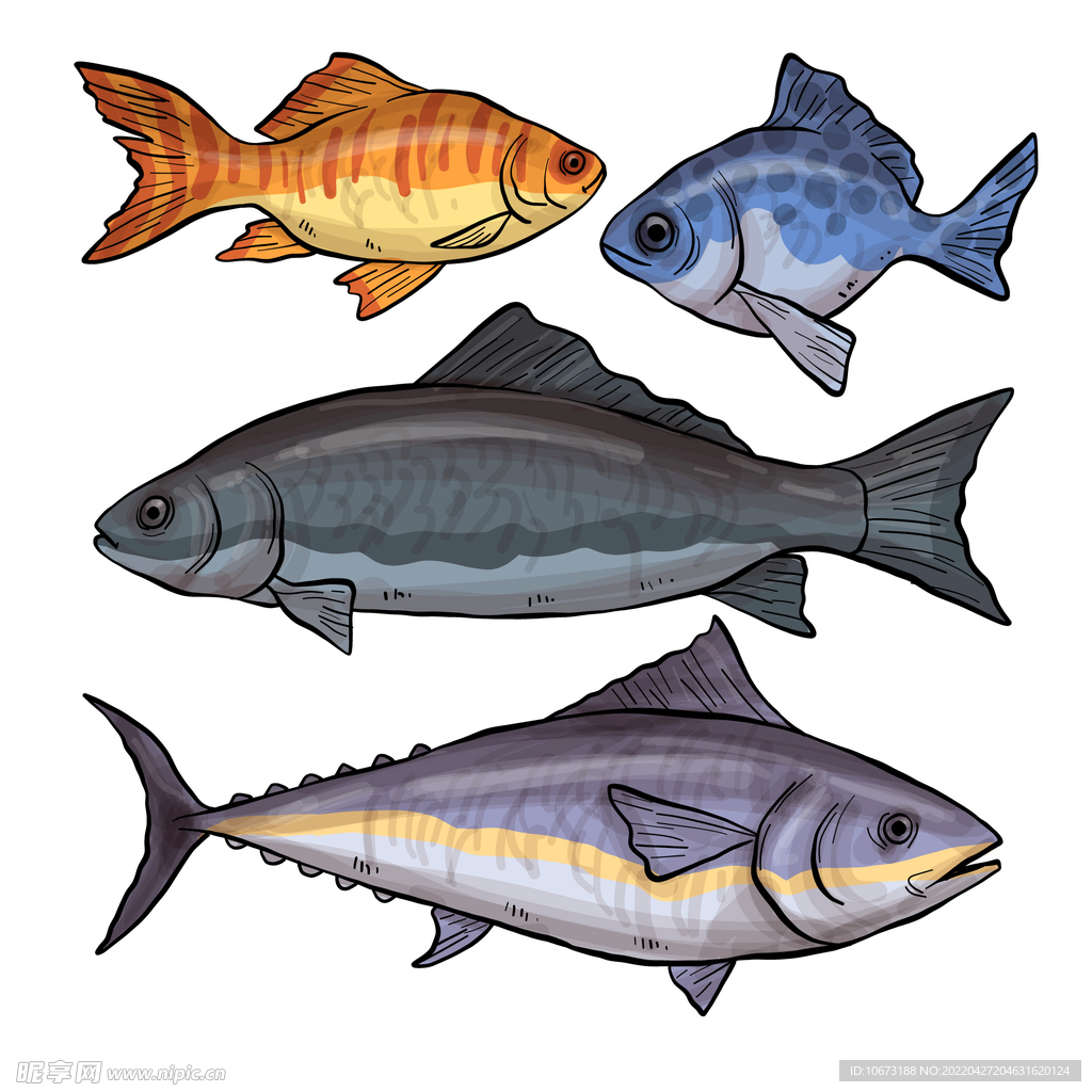 海洋生物