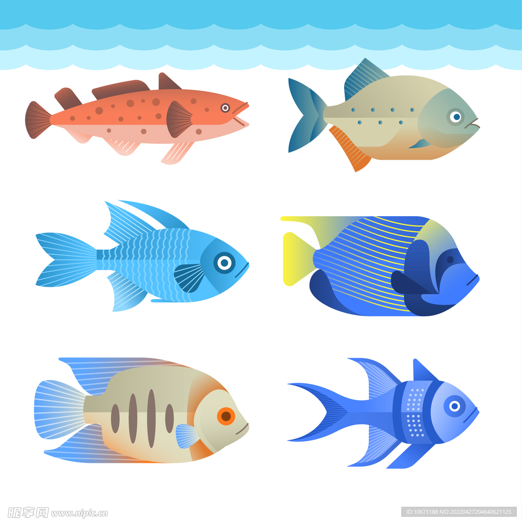 海洋生物 