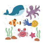 海洋生物