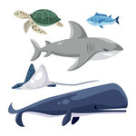 海洋生物