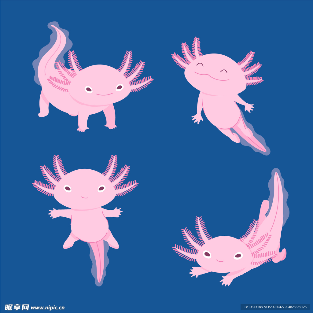 海洋生物