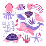 海洋生物