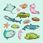 海洋生物