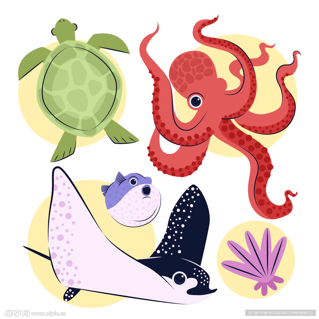 海洋生物