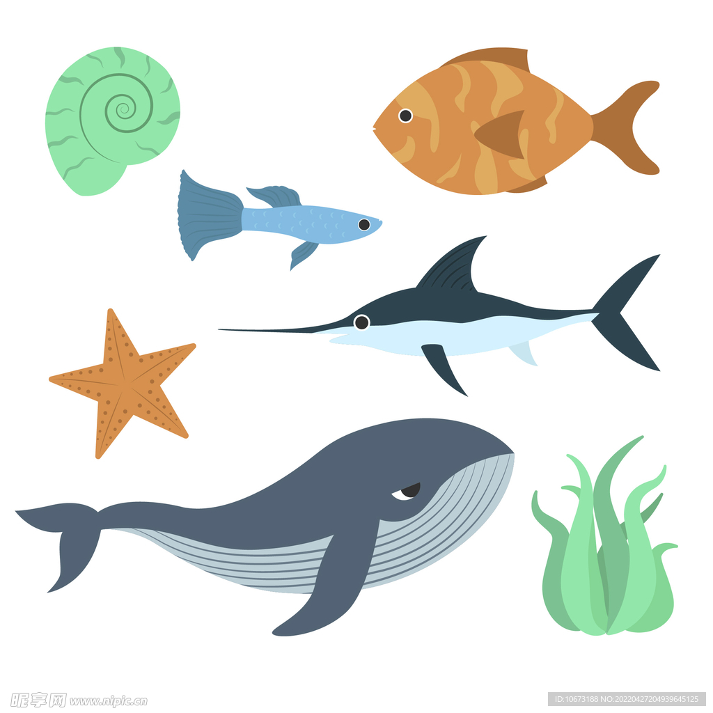 海洋生物