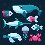 海洋生物 
