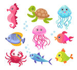 海洋生物 