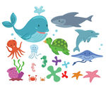 海洋生物 