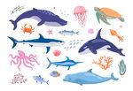 海洋生物