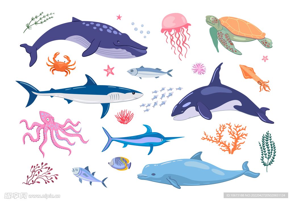 海洋生物