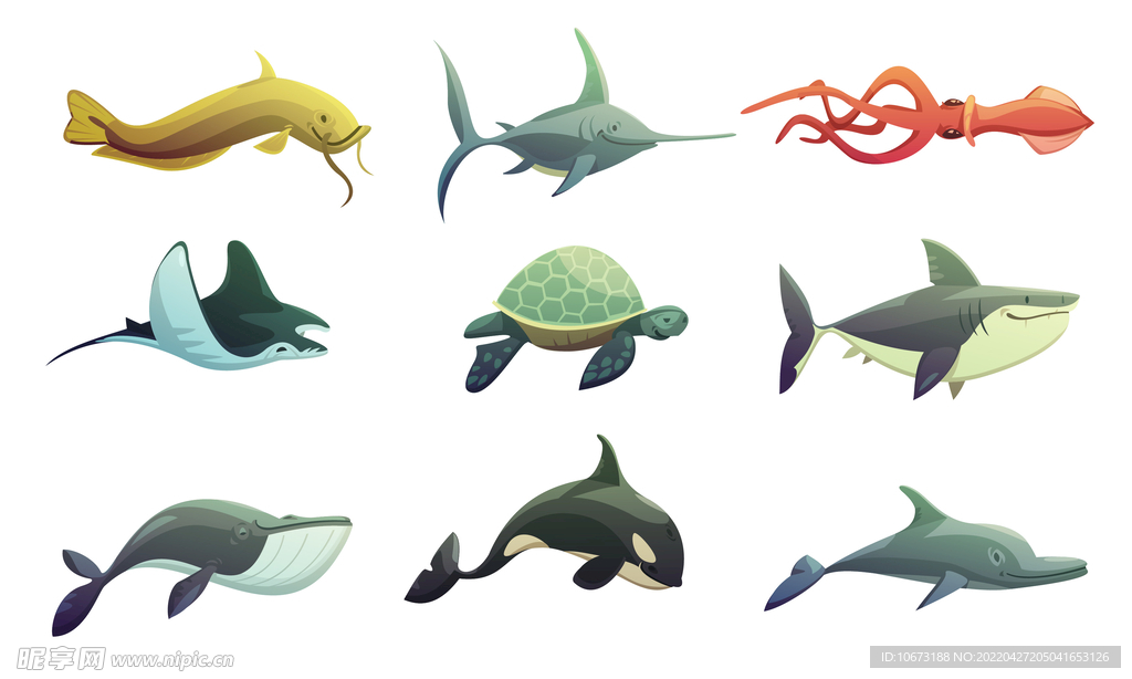 海洋生物 