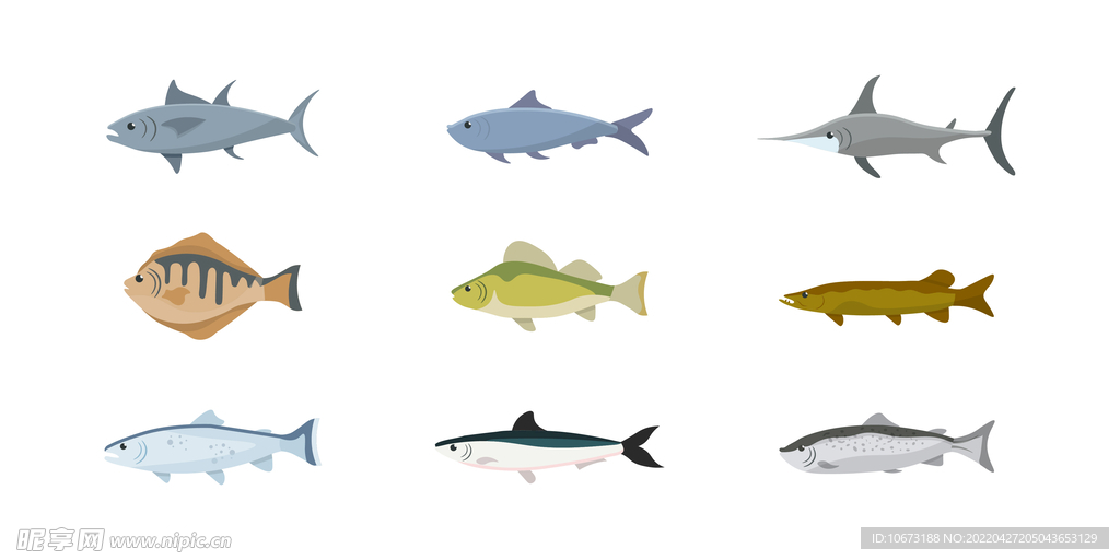 海洋生物