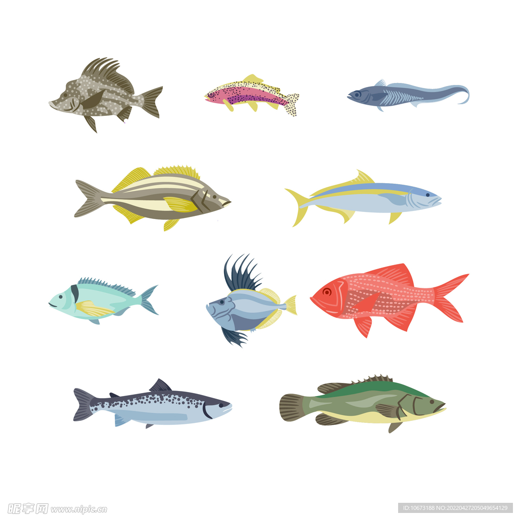 海洋生物 
