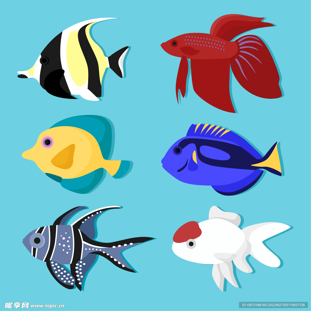 海洋生物 