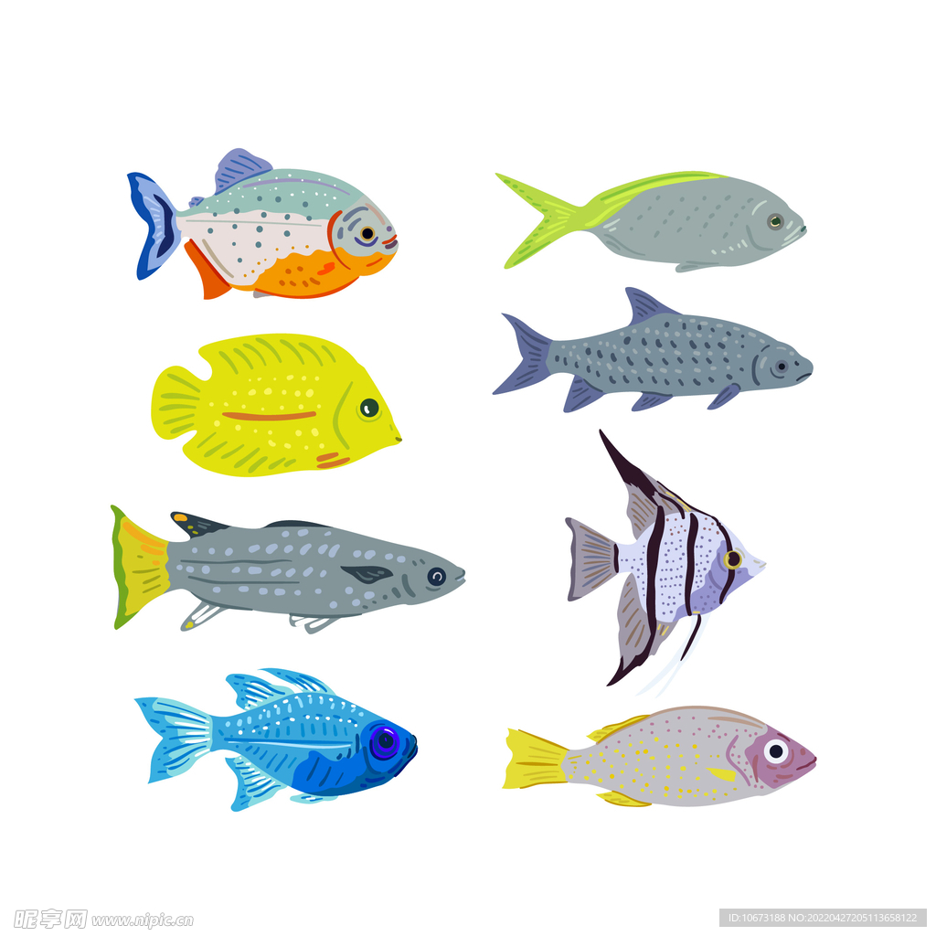 海洋生物 