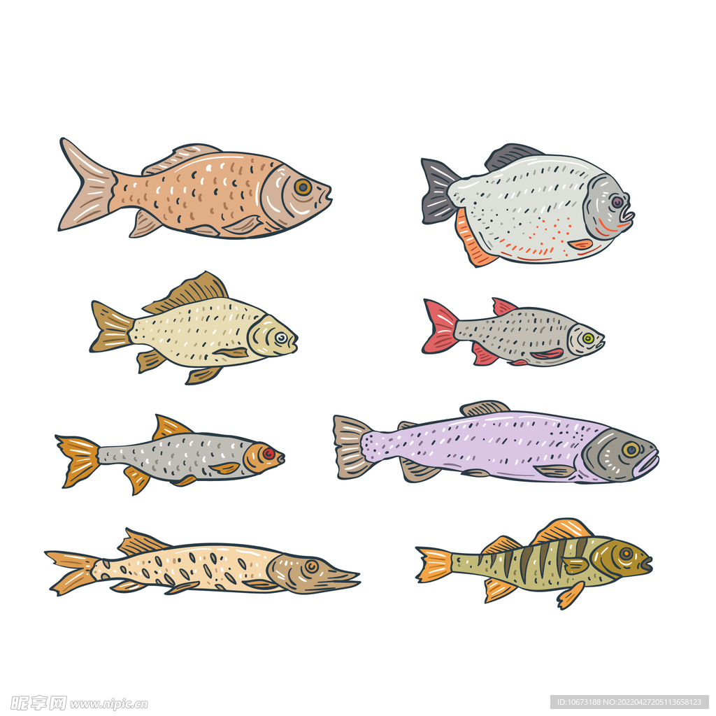海洋生物