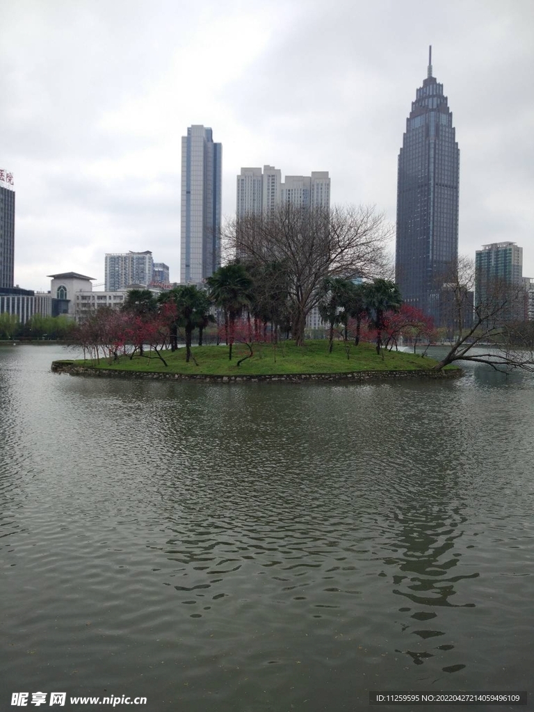 武汉小岛