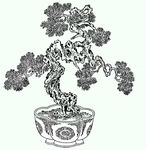 盆栽矢量图
