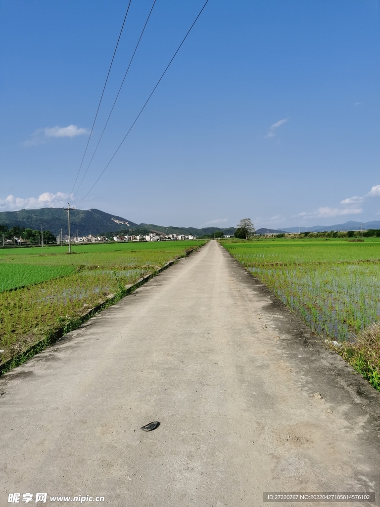 农村田野风景