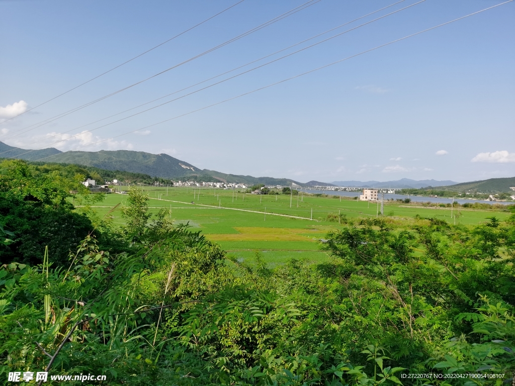 农村户外田园风景