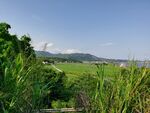 农村农田风景