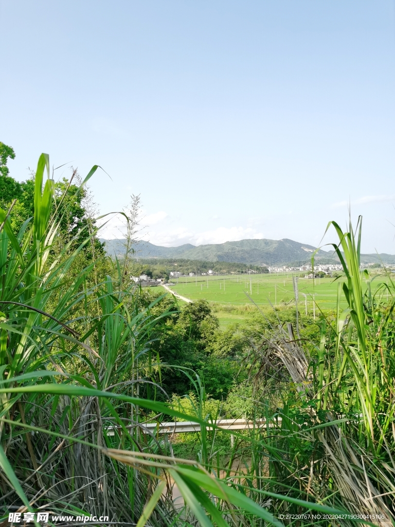 农村耕地风景