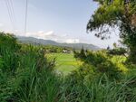 俯瞰水稻田园风光