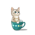 茶杯猫            