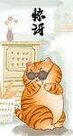萌主猫            
