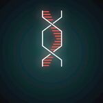 DNA分子