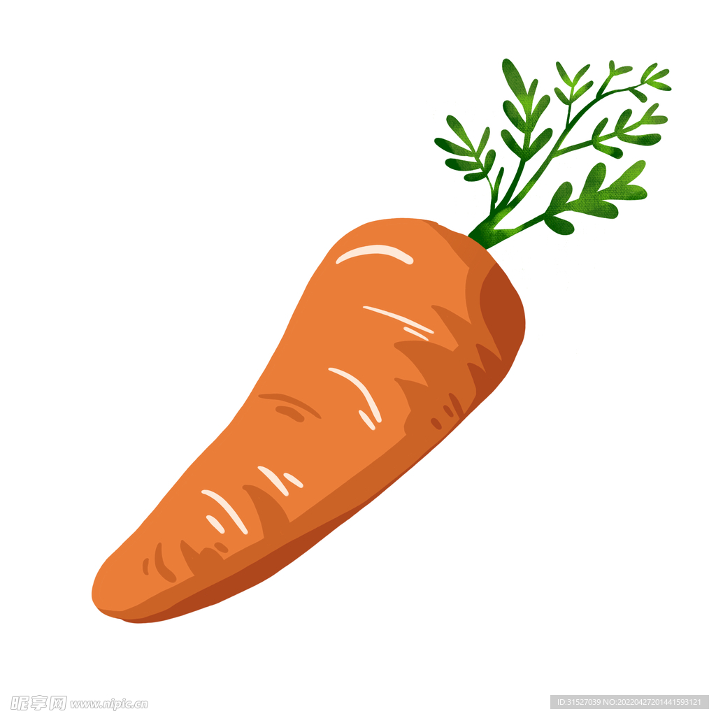  蔬菜元素胡萝卜插画