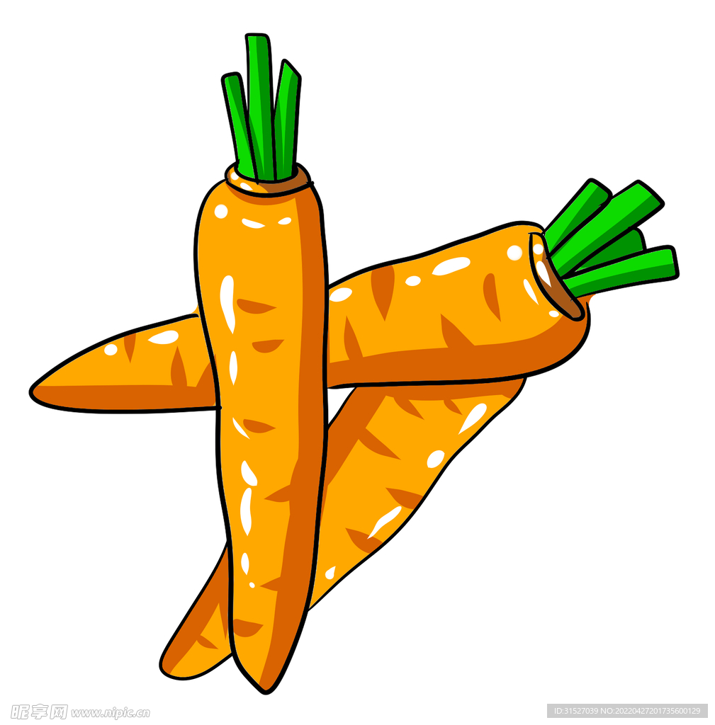 蔬菜水果胡萝卜插画素材