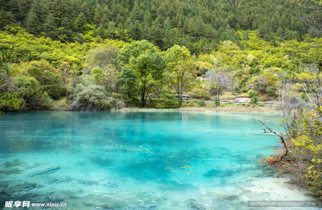 九寨沟景区风光