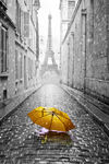 雨