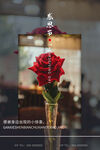 母亲节
