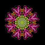 花纹